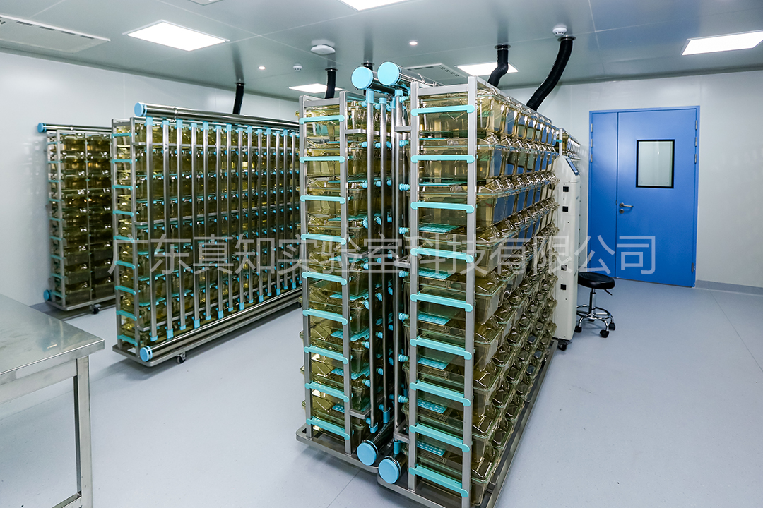 实验室设计规划